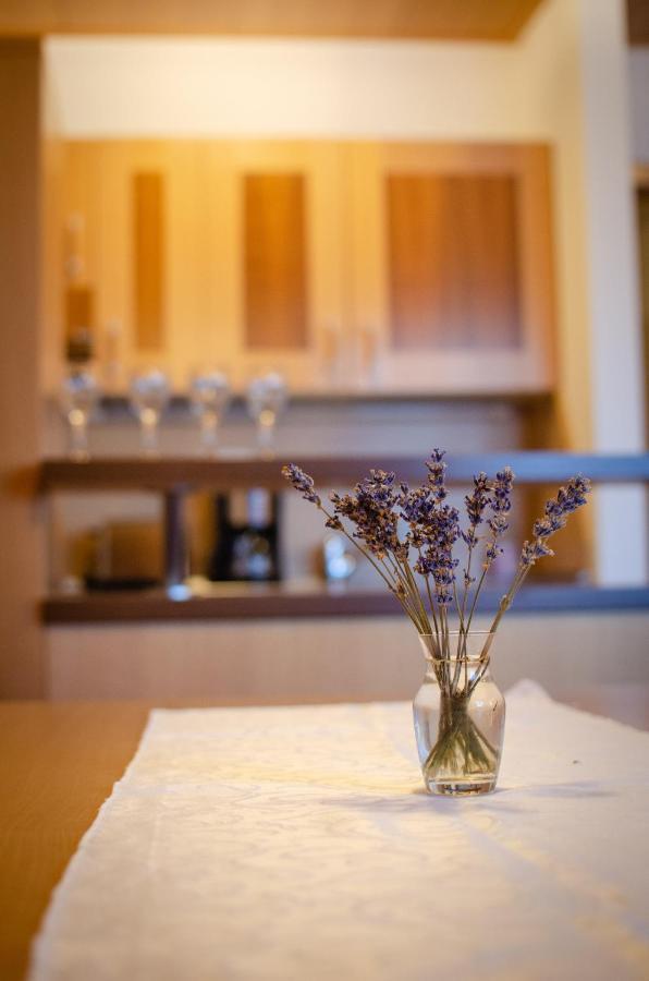 Apartment Luxury Prezin *